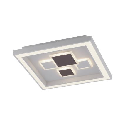 Paul Neuhaus 6283-16 - LED Zatemnitvena stropna svetilka ELIZA LED/30W/230V + LED/18,5W