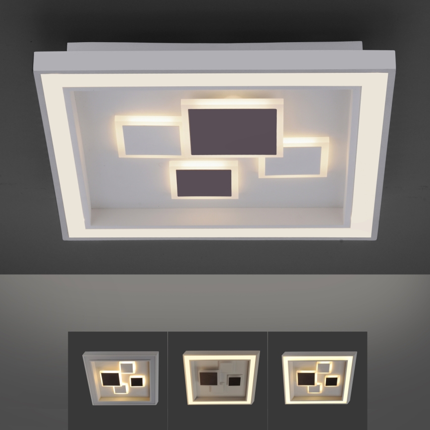 Paul Neuhaus 6283-16 - LED Zatemnitvena stropna svetilka ELIZA LED/30W/230V + LED/18,5W