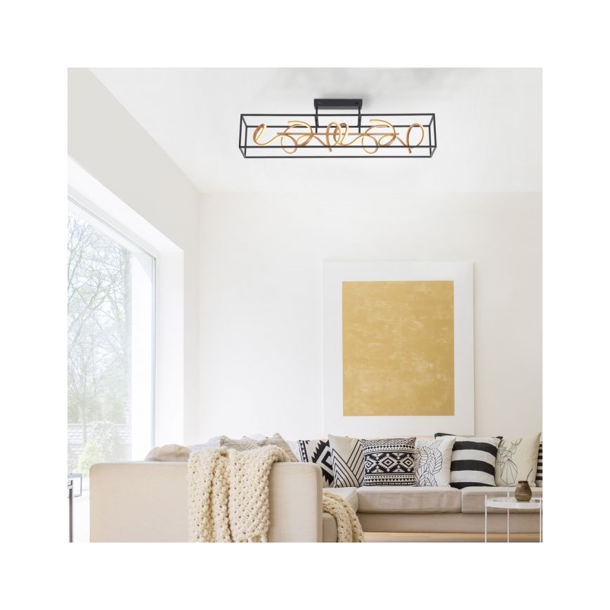 Paul Neuhaus 6473-18 - LED Zatemnitveni lestenec na drogu SELINA 4xLED/10,2W/230V