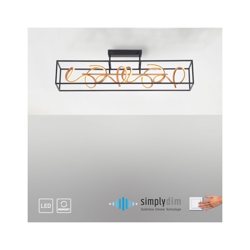 Paul Neuhaus 6473-18 - LED Zatemnitveni lestenec na drogu SELINA 4xLED/10,2W/230V