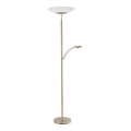 Paul Neuhaus 655-60 - Zatemnjevalna LED stoječa svetilka ALFRED LED/28W/230V+LED/4W/230V medenina