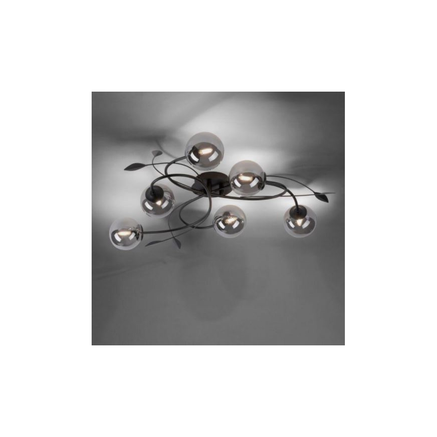 Paul Neuhaus 6737-18 - LED Lestenec WIDOW 6xG9/3W/230V