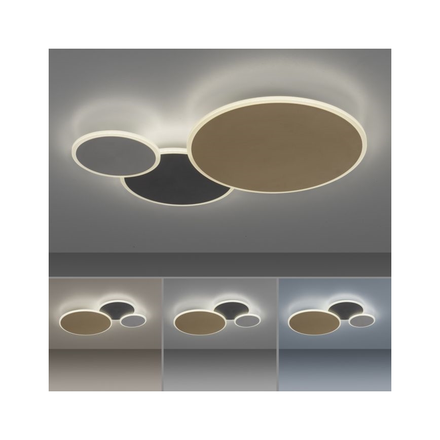 Paul Neuhaus 8007-70 - LED Zatemnitvena stropna svetilka Q-PIATO LED/35W/230V 2700-5000K Wi-Fi + Daljinski upravljalnik
