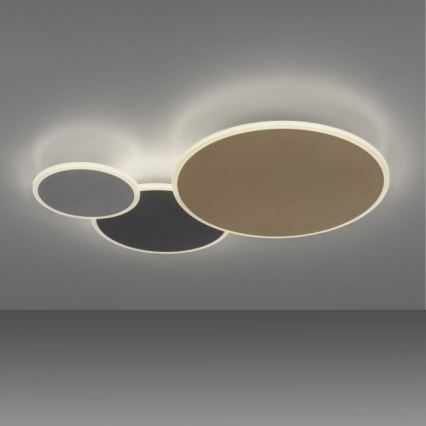 Paul Neuhaus 8007-70 - LED Zatemnitvena stropna svetilka Q-PIATO LED/35W/230V 2700-5000K Wi-Fi + Daljinski upravljalnik
