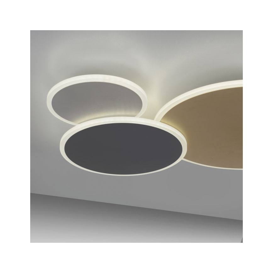 Paul Neuhaus 8007-70 - LED Zatemnitvena stropna svetilka Q-PIATO LED/35W/230V 2700-5000K Wi-Fi + Daljinski upravljalnik