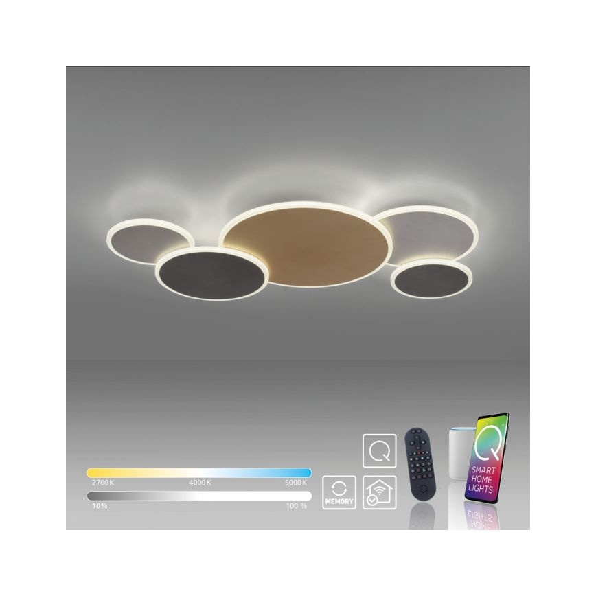 Paul Neuhaus 8008-70 - LED Zatemnitvena stropna svetilka Q-PIATO LED/49W/230V 2700-5000K Wi-Fi + Daljinski upravljalnik