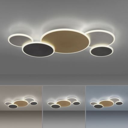 Paul Neuhaus 8008-70 - LED Zatemnitvena stropna svetilka Q-PIATO LED/49W/230V 2700-5000K Wi-Fi + Daljinski upravljalnik