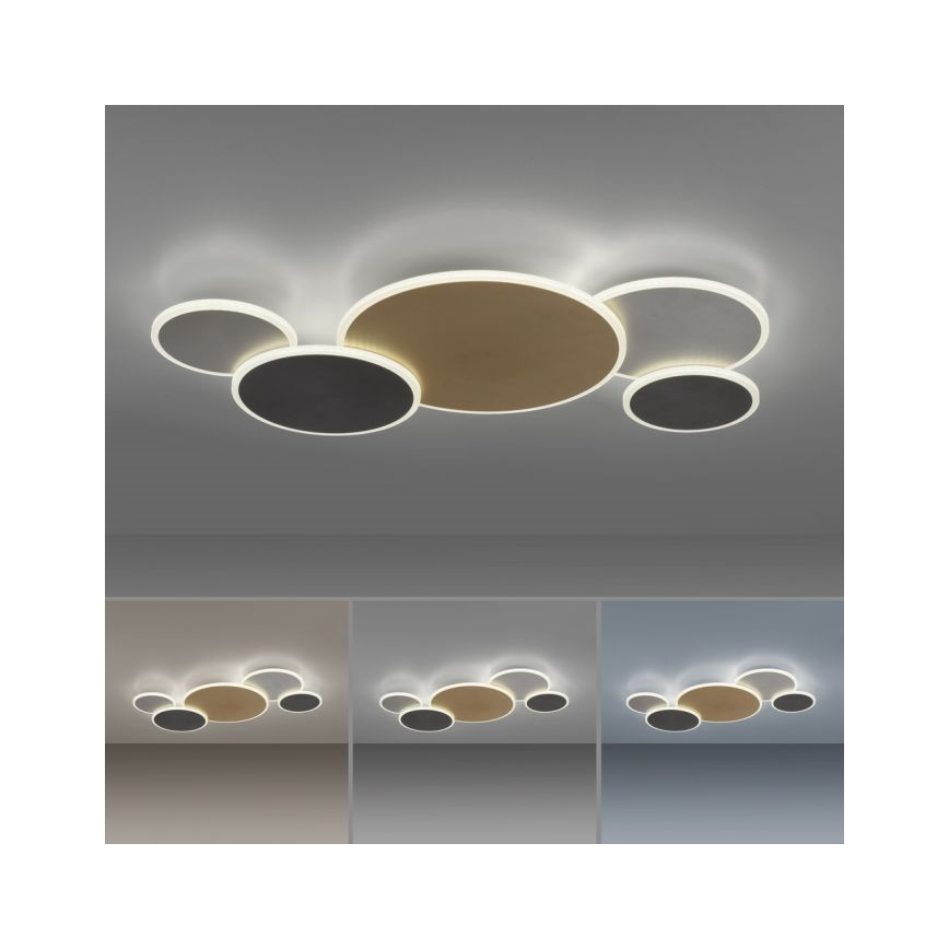 Paul Neuhaus 8008-70 - LED Zatemnitvena stropna svetilka Q-PIATO LED/49W/230V 2700-5000K Wi-Fi + Daljinski upravljalnik
