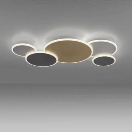 Paul Neuhaus 8008-70 - LED Zatemnitvena stropna svetilka Q-PIATO LED/49W/230V 2700-5000K Wi-Fi + Daljinski upravljalnik