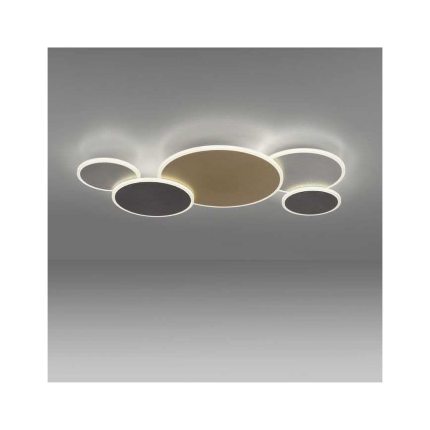 Paul Neuhaus 8008-70 - LED Zatemnitvena stropna svetilka Q-PIATO LED/49W/230V 2700-5000K Wi-Fi + Daljinski upravljalnik