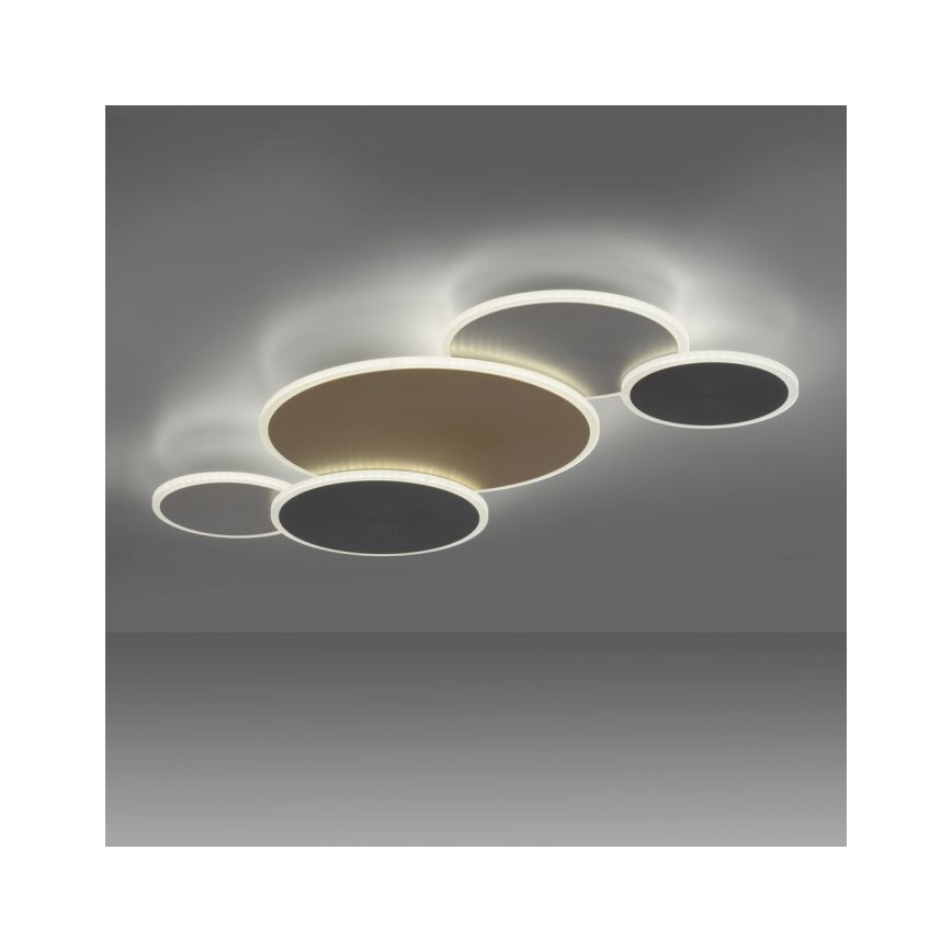 Paul Neuhaus 8008-70 - LED Zatemnitvena stropna svetilka Q-PIATO LED/49W/230V 2700-5000K Wi-Fi + Daljinski upravljalnik