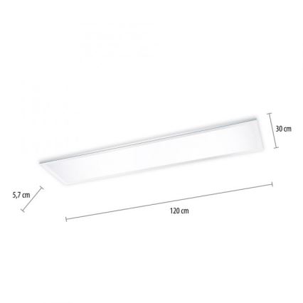 Paul Neuhaus 8112-17 - LED Zatemnitveni panel FLAG LED/35W/230V