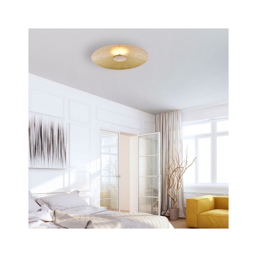 Paul Neuhaus 8132-12 - LED Zatemnitvena stropna svetilka PLATE LED/25W/230V