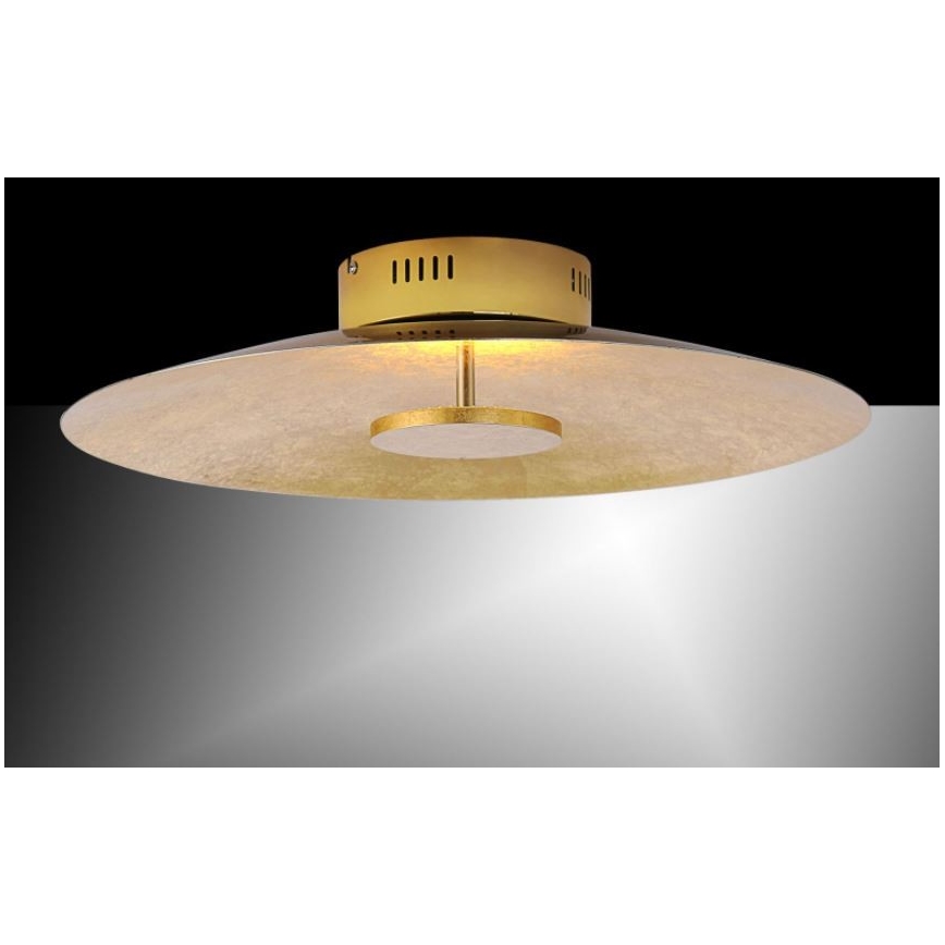 Paul Neuhaus 8132-12 - LED Zatemnitvena stropna svetilka PLATE LED/25W/230V