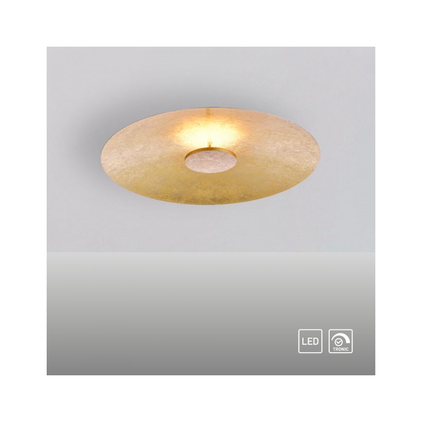 Paul Neuhaus 8132-12 - LED Zatemnitvena stropna svetilka PLATE LED/25W/230V