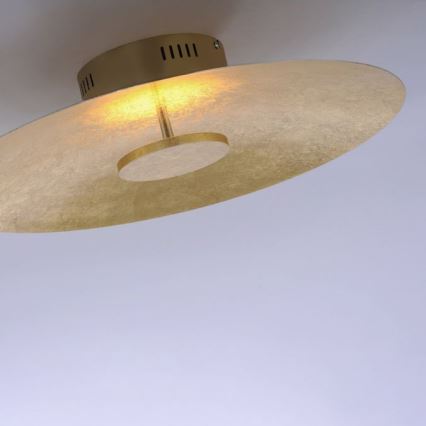 Paul Neuhaus 8132-12 - LED Zatemnitvena stropna svetilka PLATE LED/25W/230V