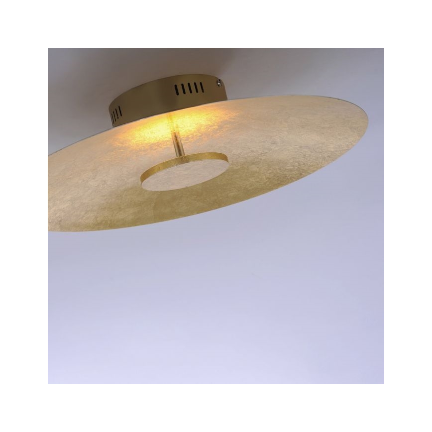 Paul Neuhaus 8132-12 - LED Zatemnitvena stropna svetilka PLATE LED/25W/230V