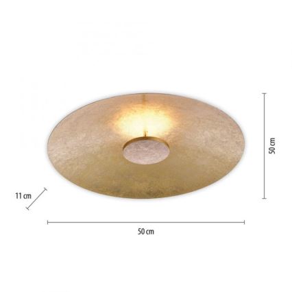 Paul Neuhaus 8132-12 - LED Zatemnitvena stropna svetilka PLATE LED/25W/230V