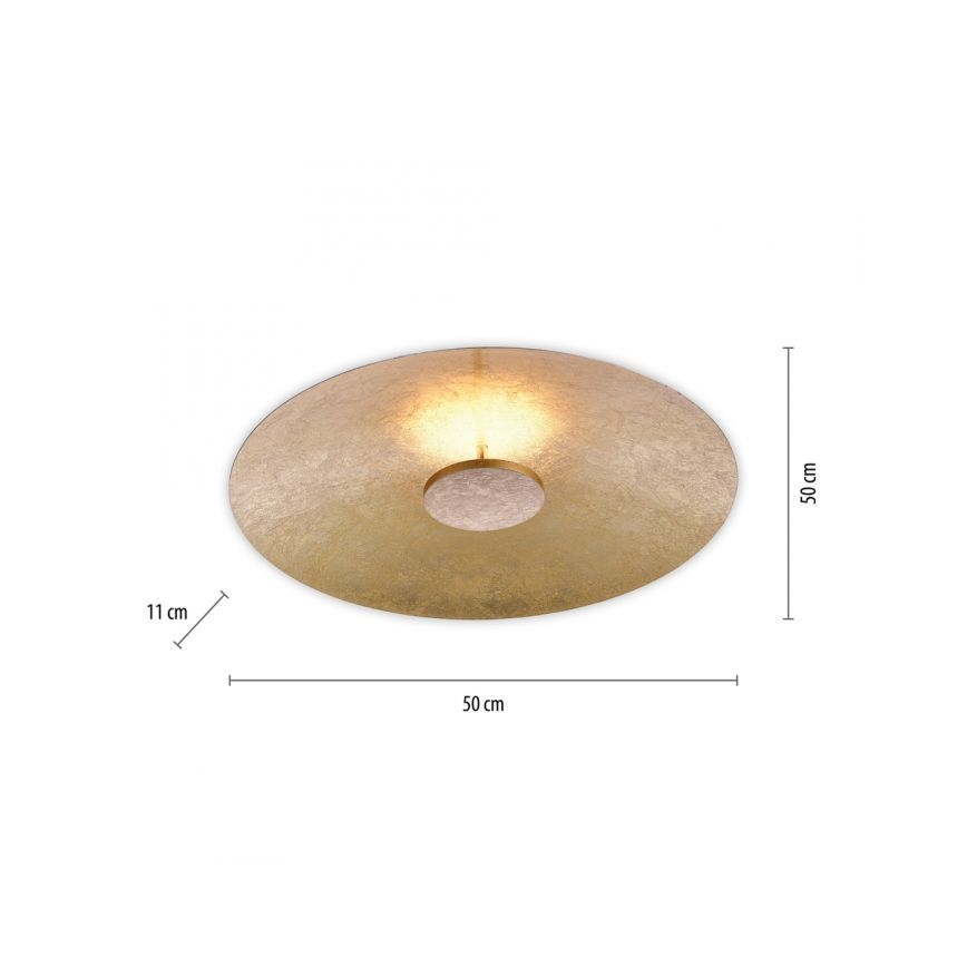 Paul Neuhaus 8132-12 - LED Zatemnitvena stropna svetilka PLATE LED/25W/230V
