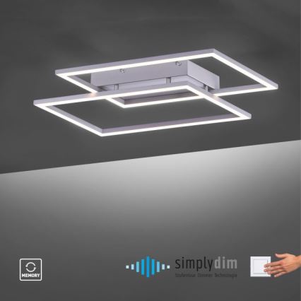 Paul Neuhaus 8192-55 - LED Zatemnitveni nadgradni lestenec INIGO 2xLED/12W/230V