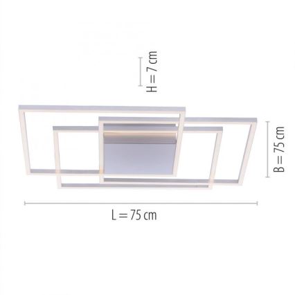 Paul Neuhaus 8256-55 - LED Zatemnitvena stropna svetilka INIGO 3xLED/16W/230V