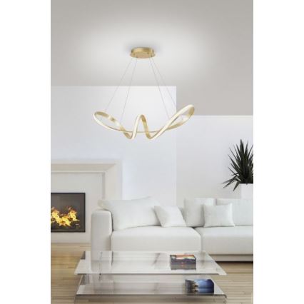 Paul Neuhaus 8291-12 - LED Zatemnitveni lestenec na vrvici MELINDA LED/30W/230V