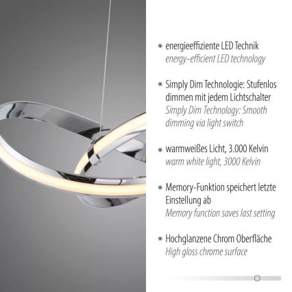 Paul Neuhaus 8291-17 - LED Zatemnitveni lestenec na vrvici MELINDA LED/30W/230V