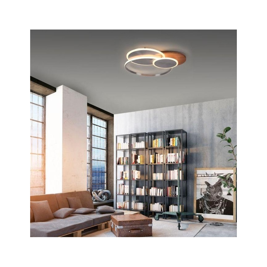 Paul Neuhaus 8328-79 - LED Zatemnitvena stropna svetilka PALMA LED/50W/230V 2700-5000K bor + Daljinski upravljalnik