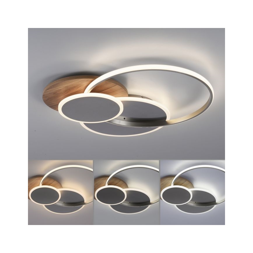 Paul Neuhaus 8328-79 - LED Zatemnitvena stropna svetilka PALMA LED/50W/230V 2700-5000K bor + Daljinski upravljalnik