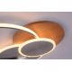 Paul Neuhaus 8328-79 - LED Zatemnitvena stropna svetilka PALMA LED/50W/230V 2700-5000K bor + Daljinski upravljalnik