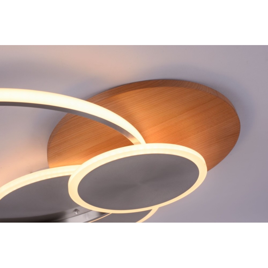 Paul Neuhaus 8328-79 - LED Zatemnitvena stropna svetilka PALMA LED/50W/230V 2700-5000K bor + Daljinski upravljalnik
