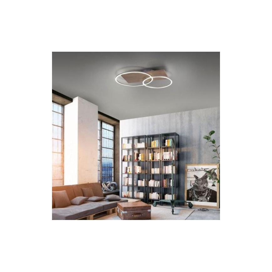 Paul Neuhaus 8329-79 - LED Zatemnitveni nadgradni lestenec PALMA LED/26W/230V 2700-5000K bor + Daljinski upravljalnik