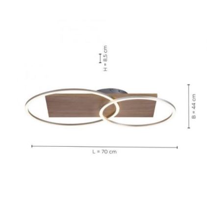 Paul Neuhaus 8329-79 - LED Zatemnitveni nadgradni lestenec PALMA LED/26W/230V 2700-5000K bor + Daljinski upravljalnik