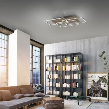 Paul Neuhaus 8330-79 - LED Zatemnitveni nadgradni lestenec PALMA 3xLED/12W/230V bor + Daljinski upravljalnik