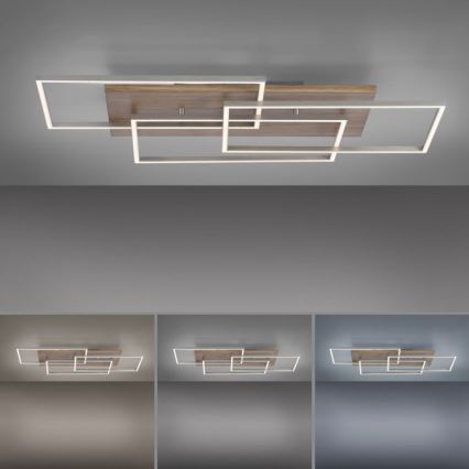 Paul Neuhaus 8330-79 - LED Zatemnitveni nadgradni lestenec PALMA 3xLED/12W/230V bor + Daljinski upravljalnik