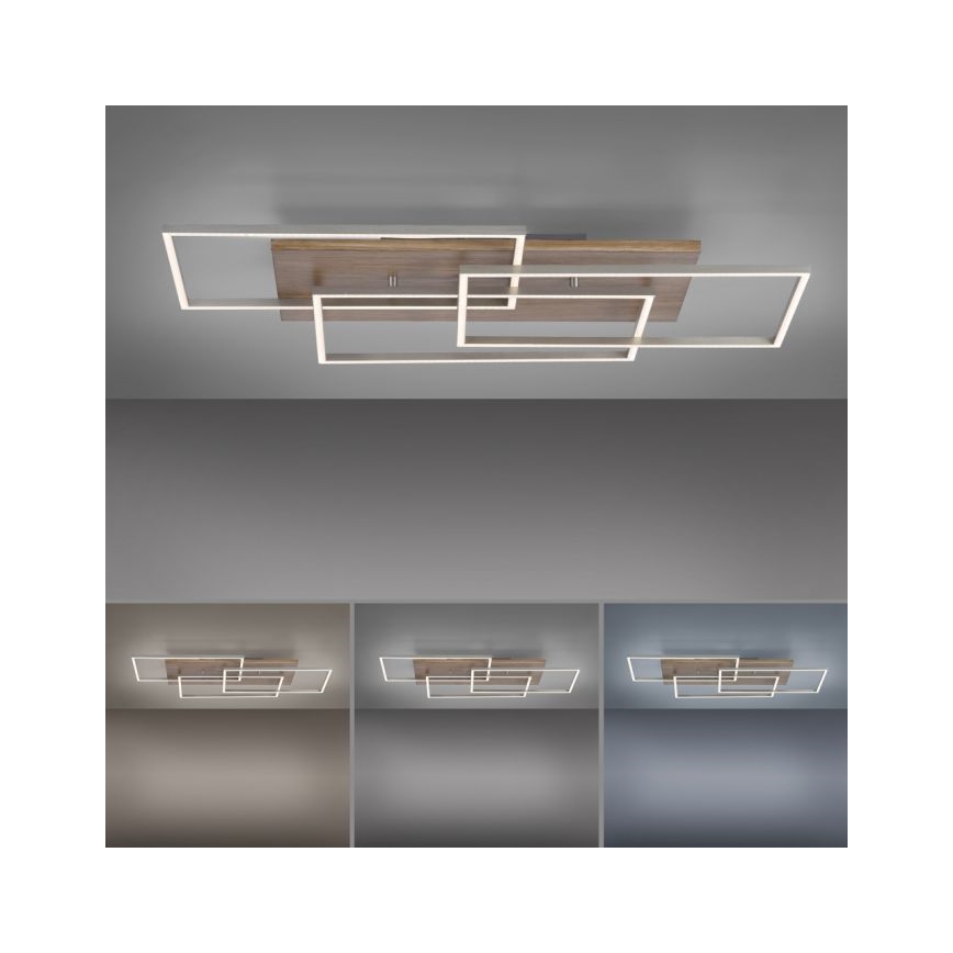 Paul Neuhaus 8330-79 - LED Zatemnitveni nadgradni lestenec PALMA 3xLED/12W/230V bor + Daljinski upravljalnik