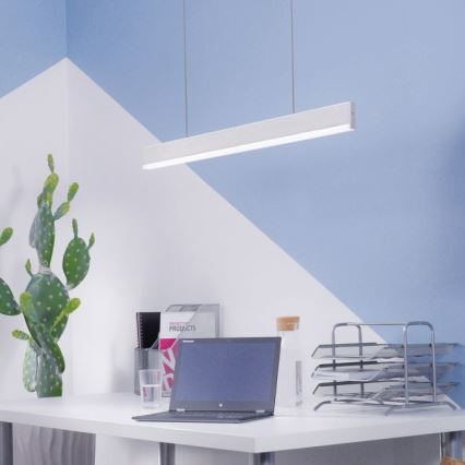 Paul Neuhaus 8363-55 - LED Zatemnitveni lestenec na vrvici s senzorjem ARINA LED/20W/230V
