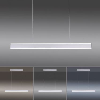 Paul Neuhaus 8363-55 - LED Zatemnitveni lestenec na vrvici s senzorjem ARINA LED/20W/230V