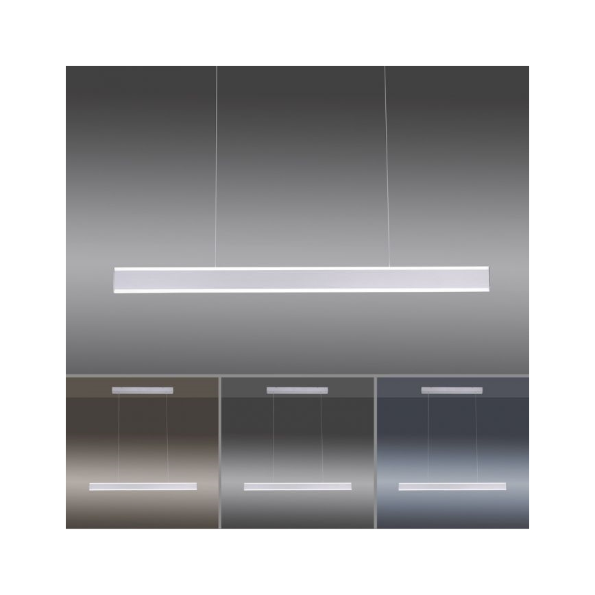 Paul Neuhaus 8363-55 - LED Zatemnitveni lestenec na vrvici s senzorjem ARINA LED/20W/230V