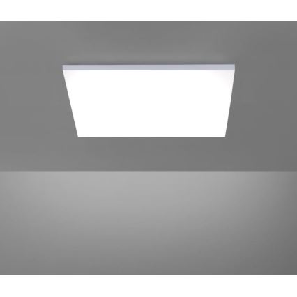 Paul Neuhaus 8492-16 - LED Zatemnitveni panel FRAMELESS LED/35W/230V + Daljinski upravljalnik