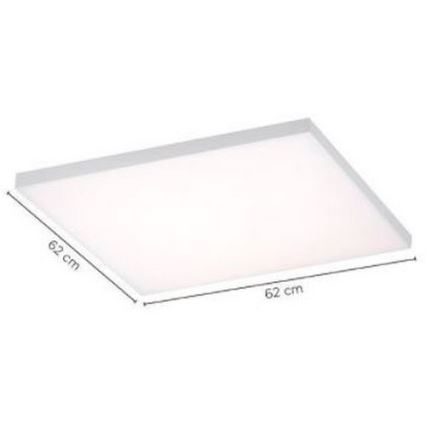 Paul Neuhaus 8492-16 - LED Zatemnitveni panel FRAMELESS LED/35W/230V + Daljinski upravljalnik