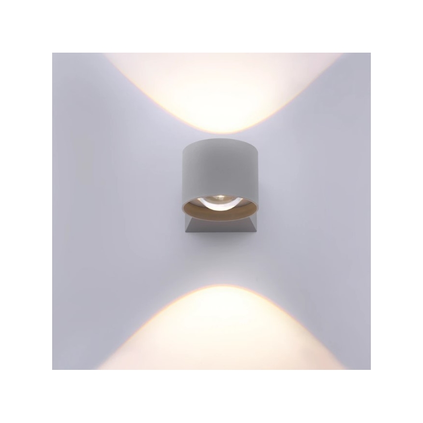 Paul Neuhaus 9441-21 - LED Zunanja stenska svetilka TIMO 2xLED/2W/230V IP54