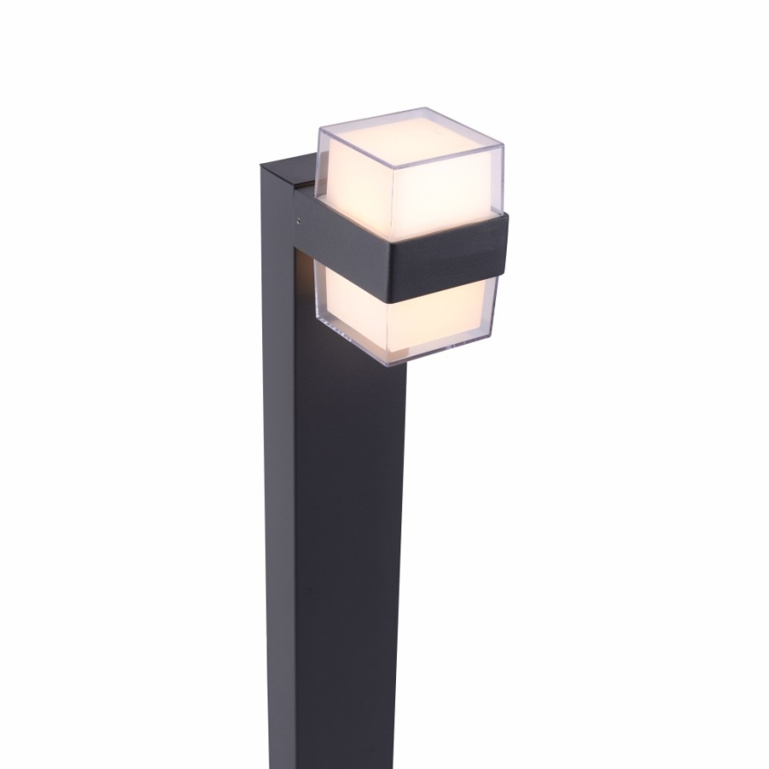 Paul Neuhaus 9481-13 - LED Zunanja svetilka CARA LED/8W/230V IP44