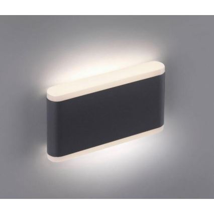 Paul Neuhaus 9483-13 - LED Zunanja stenska svetilka ELSA 2xLED/5,4W/230V IP65