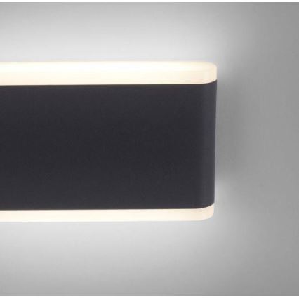 Paul Neuhaus 9483-13 - LED Zunanja stenska svetilka ELSA 2xLED/5,4W/230V IP65