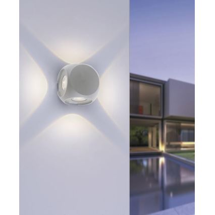 Paul Neuhaus 9485-21 - LED Zunanja stenska svetilka CARLO 4xLED/0,8W/230V IP54