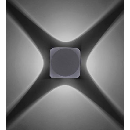 Paul Neuhaus 9485-21 - LED Zunanja stenska svetilka CARLO 4xLED/0,8W/230V IP54