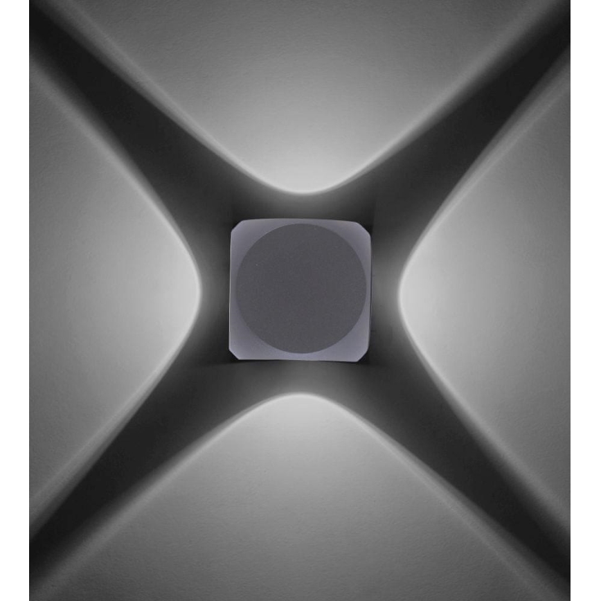Paul Neuhaus 9485-21 - LED Zunanja stenska svetilka CARLO 4xLED/0,8W/230V IP54