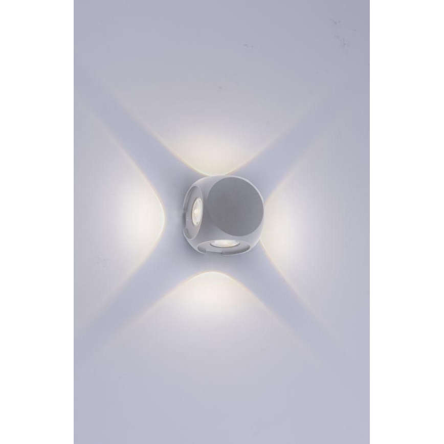 Paul Neuhaus 9485-21 - LED Zunanja stenska svetilka CARLO 4xLED/0,8W/230V IP54