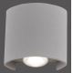 Paul Neuhaus 9486-21 - LED Zunanja stenska svetilka CARLO 2xLED/1,7W/230V IP54